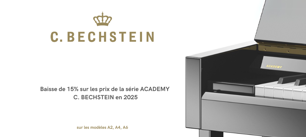 bechstein serie academy banner